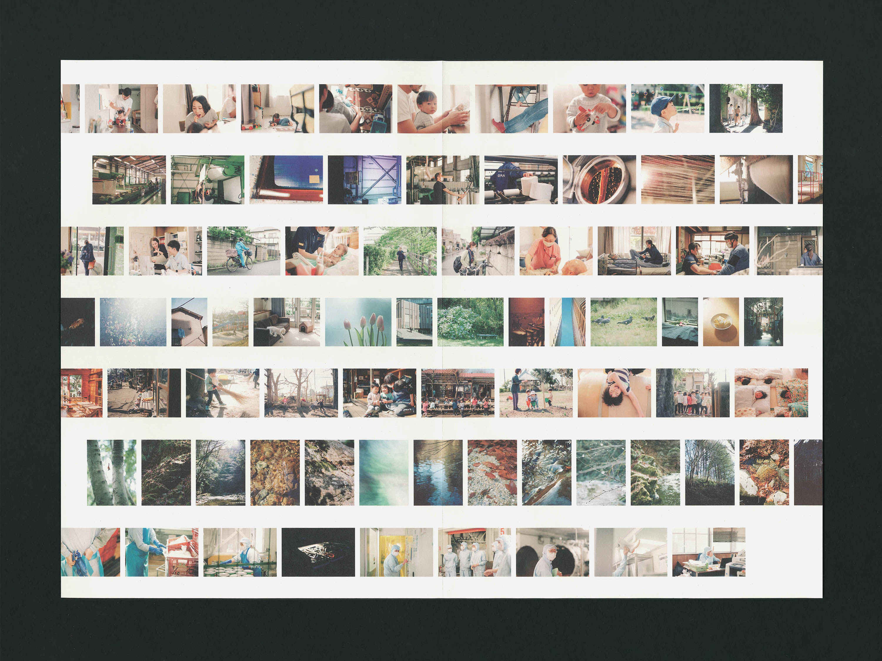 151画 パンフレット