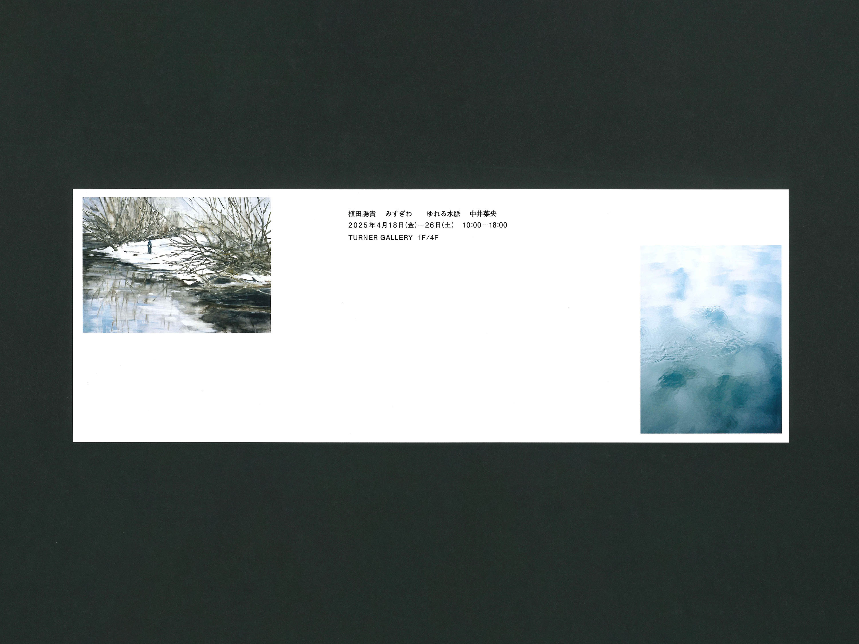 みずぎわ／ゆれる水脈