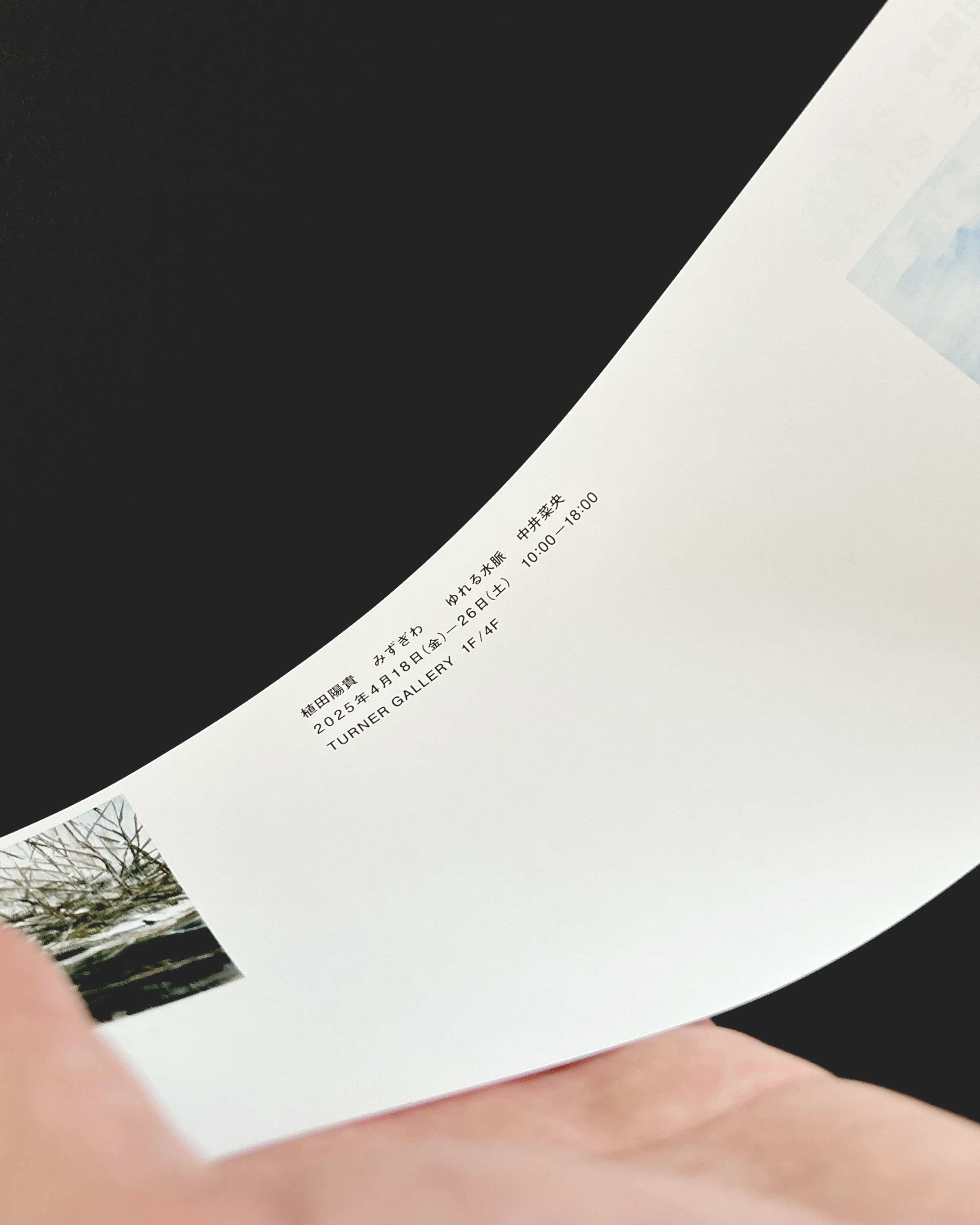 みずぎわ／ゆれる水脈